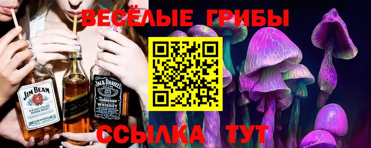 Псилоцибиновые грибы MAGIC MUSHROOMS  Вход с VPN  Лангепас  Галлюциногенные грибы GOLDEN TEACHER 